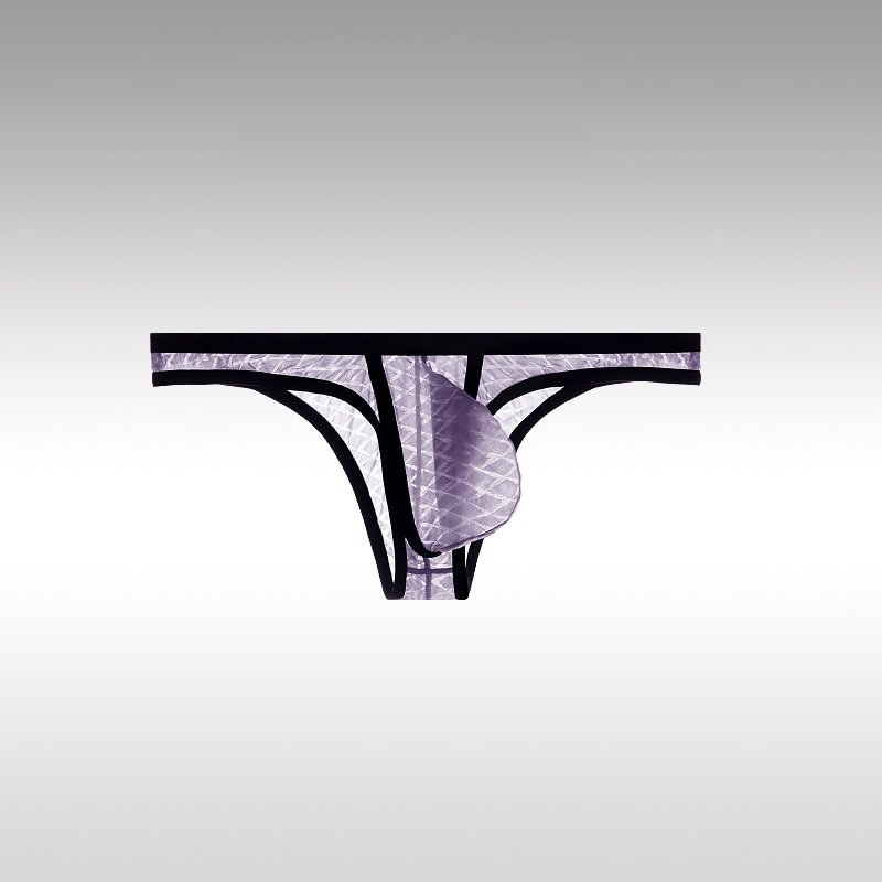 Kent | Ultradünne sexy Slips mit niedriger Taille für Männer Bikini Ice Silk Mesh Transparent