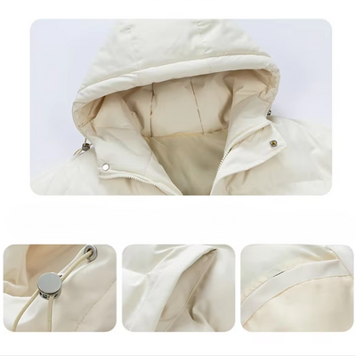 Jackord - Pufferjacke Herren Mit Kapuze Wasserdicht Winddicht Winterjacke