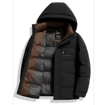 Eisplum - Daunenjacke Herren Leicht Gefüttert Steppjacke Übergangsjacke