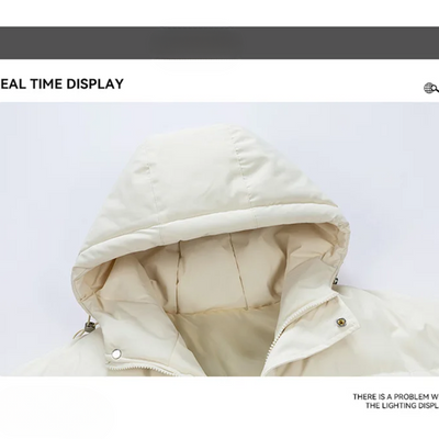 Jackord - Pufferjacke Herren Mit Kapuze Wasserdicht Winddicht Winterjacke