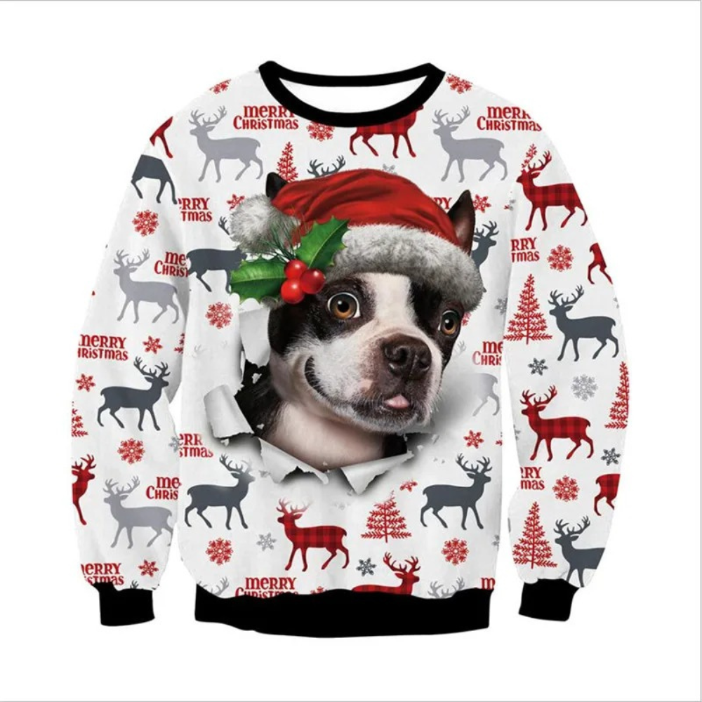 Festpul - Weihnachtspullover – Lustiges Design, Unisex, Langarm Sweatshirt