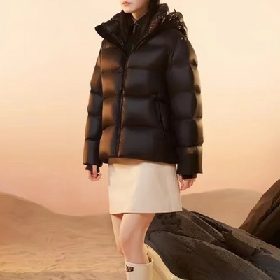 Daunhof - Pufferjacke Herren Steppjacke Leicht Gefüttert Mit Kapuze