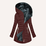 Rot