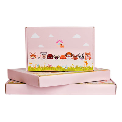 Corgi-Themed Flower Pot