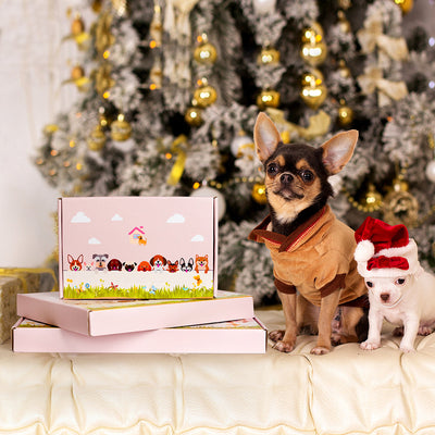 Braun-Grauer Hound Pflanzgefäß