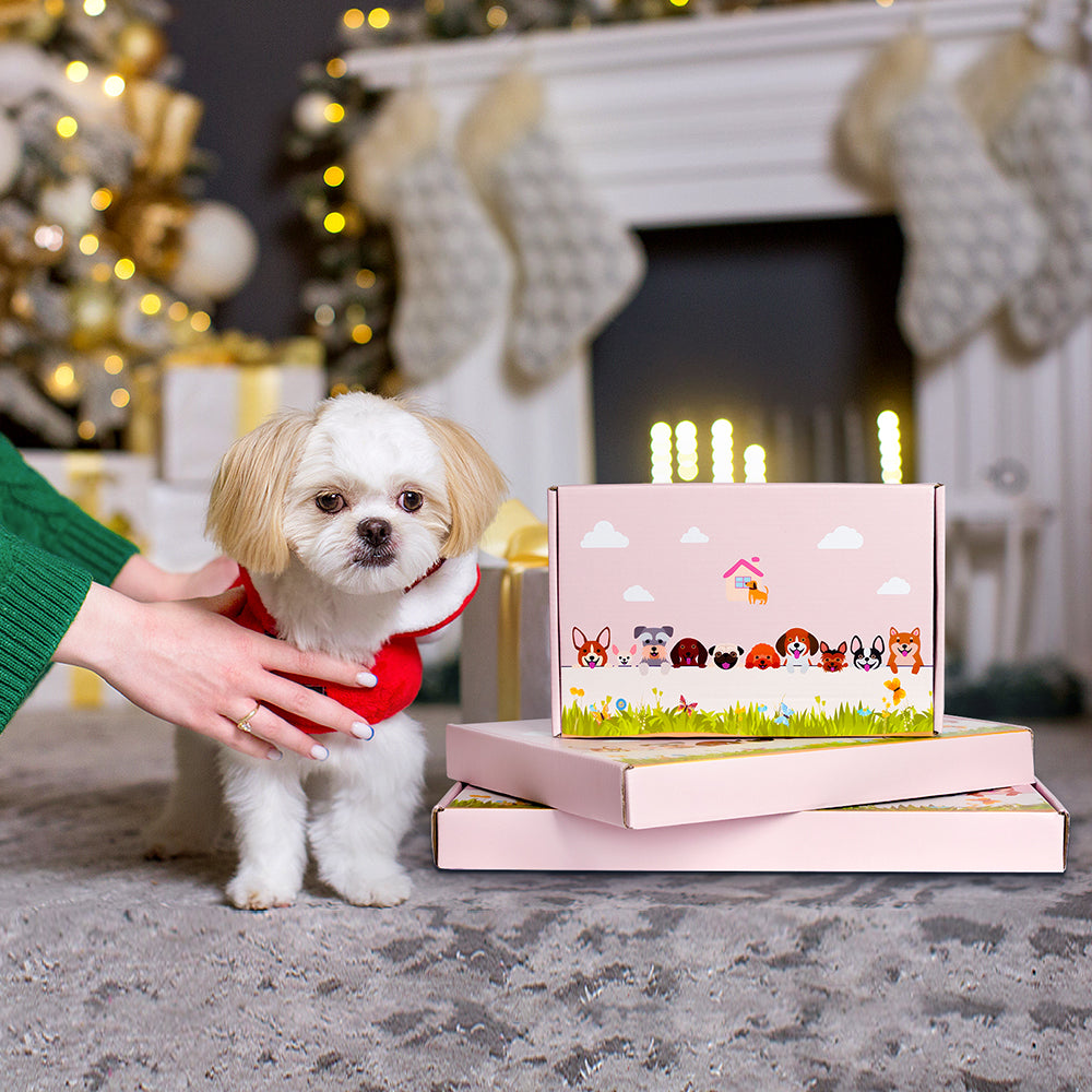 Pekingese Flower Pot