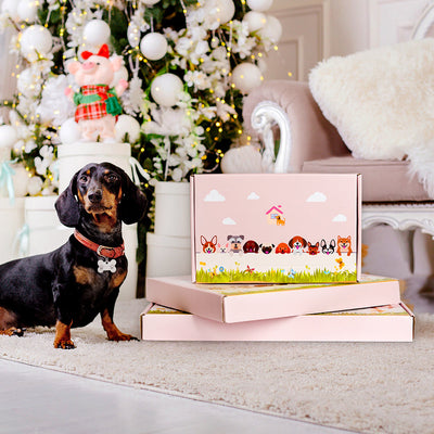 Deutsche Dogge Pflanzgefäß