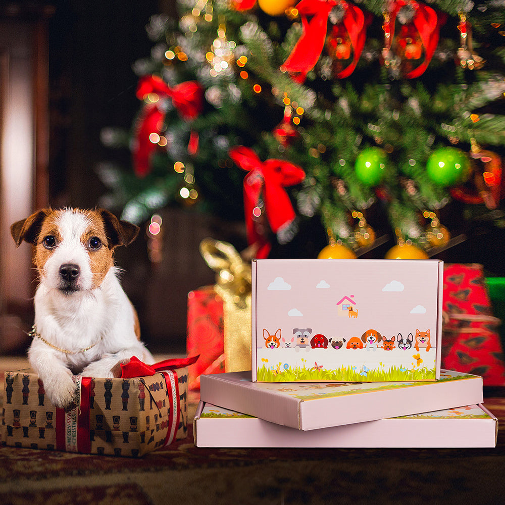 Bernese Mountain Dog Flower Pot