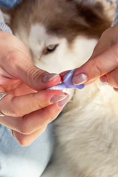 Devin | SILIKON EMPFINDLICHER BEREICH