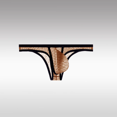 Kent | Ultradünne sexy Slips mit niedriger Taille für Männer Bikini Ice Silk Mesh Transparent