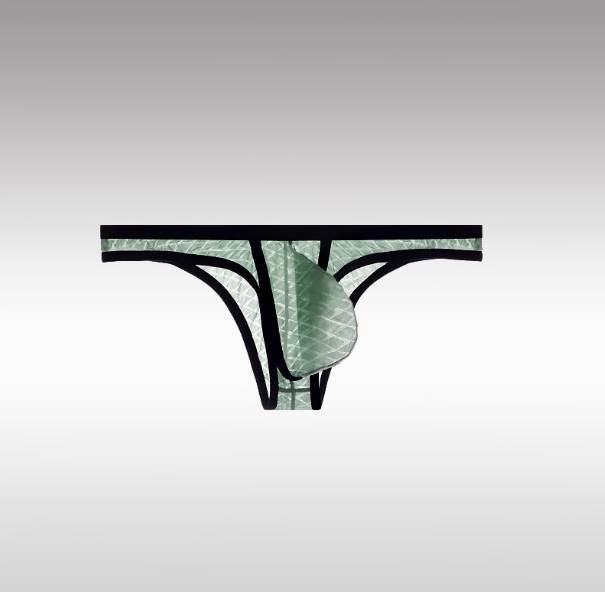 Kent | Ultradünne sexy Slips mit niedriger Taille für Männer Bikini Ice Silk Mesh Transparent