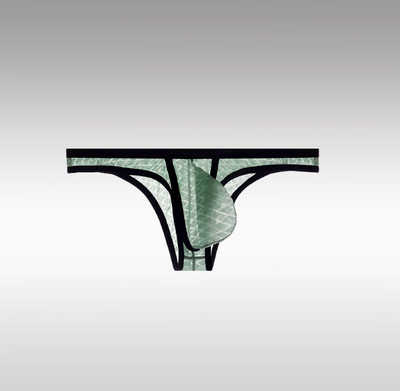 Kent | Ultradünne sexy Slips mit niedriger Taille für Männer Bikini Ice Silk Mesh Transparent